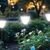 imageEnsenior 8Pack Solar Lights Outdoor Auto ONOff 6500K LED Solar Garden Lights for Pathway Yard Patio Walkway Planter Waterproof EnergyEfficient Landscape LightingCool White