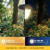 imageEnsenior 8Pack Solar Lights Outdoor Auto ONOff 6500K LED Solar Garden Lights for Pathway Yard Patio Walkway Planter Waterproof EnergyEfficient Landscape LightingWarm White