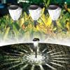 imageEnsenior 8Pack Solar Lights Outdoor Auto ONOff 6500K LED Solar Garden Lights for Pathway Yard Patio Walkway Planter Waterproof EnergyEfficient Landscape LightingCool White