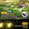 imageEnsenior 8Pack Solar Lights Outdoor Auto ONOff 6500K LED Solar Garden Lights for Pathway Yard Patio Walkway Planter Waterproof EnergyEfficient Landscape LightingWarm White