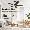 imageEnsenior Ceiling Fans with Lights and Remote 52 Inch Black Ceiling Fan with Light 6 Speeds 3CCT Noiseless Reversible DC Motor Modern Ceiling Fan for Bedroom and Living Room  5 Blades5Blade