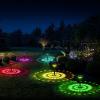 imageEnsenior Color Changing Solar Lights Outdoor Auto ONOff 3000K White Light ampamp RGB LED Solar Garden Lights for Pathway Yard Patio Waterproof EnergyEfficient Landscape Lighting 8PackRGB  Cool White