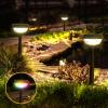 imageEnsenior Color Changing Solar Lights Outdoor Auto ONOff 3000K White Light ampamp RGB LED Solar Garden Lights for Pathway Yard Patio Waterproof EnergyEfficient Landscape Lighting 8PackRGB  Warm White