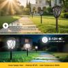 imageEnsenior 6Pack Solar Lights Outdoor 1677quot 3000K LED Solar Garden Lights for Pathway Yard Patio Walkway Planter Waterproof EnergyEfficient Landscape LightingCool White