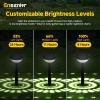 imageEnsenior Solar Pathway Lights Outdoor 8Pack Adjustable Height LED Lights Outdoor Waterproof IP65 for Garden Landscape Auto OnOff Solar Powered Yard Lights for Walkway Warm WhiteCool White