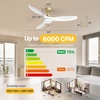 image:imageEnsenior 52 Inch Flush Mount Ceiling Fan with Light and Remote Black Low Profile Ceiling Fans with Lights for Bedroom Living Room 3 ABS Blades Modern Quiet Reversible DC Motor 3CCT 6 SpeedsWhite and Gold