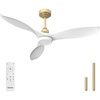 image:imageEnsenior 52 Inch Flush Mount Ceiling Fan with Light and Remote Black Low Profile Ceiling Fans with Lights for Bedroom Living Room 3 ABS Blades Modern Quiet Reversible DC Motor 3CCT 6 SpeedsWhite and Gold